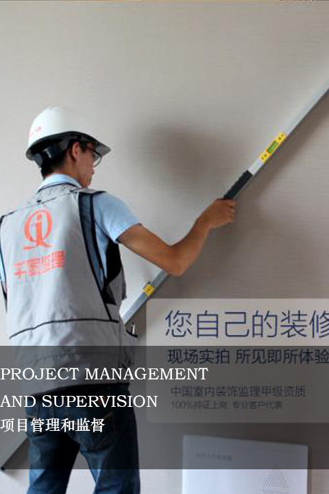 項目管理和監(jiān)督